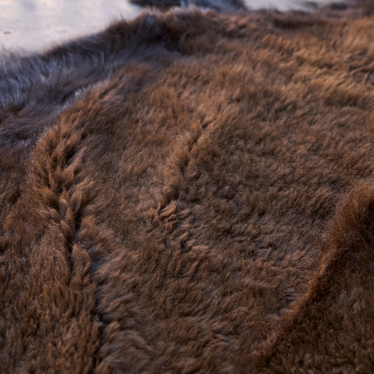 American Bison Rug | Grade-A
