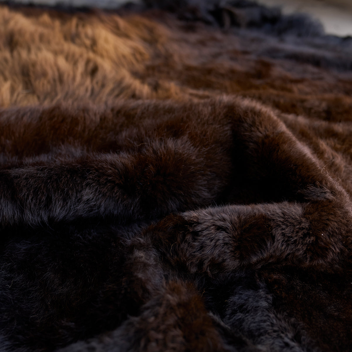 American Bison Rug | Grade-A