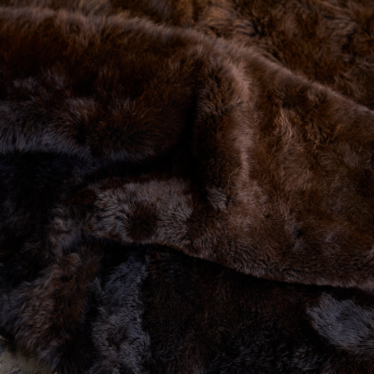 American Bison Rug | Grade-A