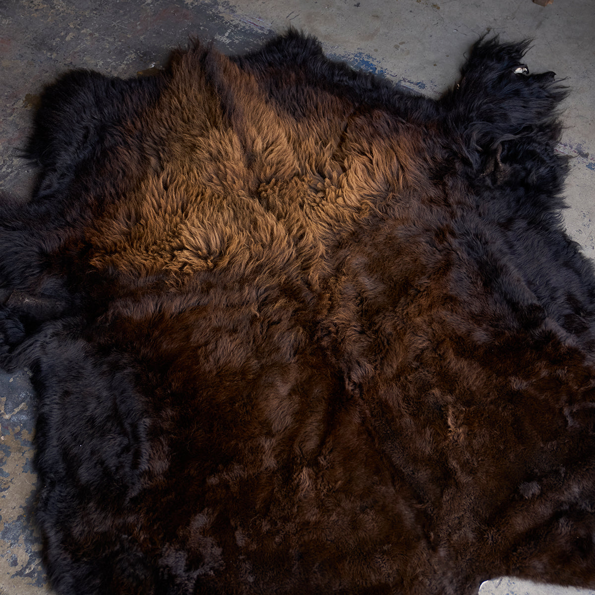 American Bison Rug | Grade-A