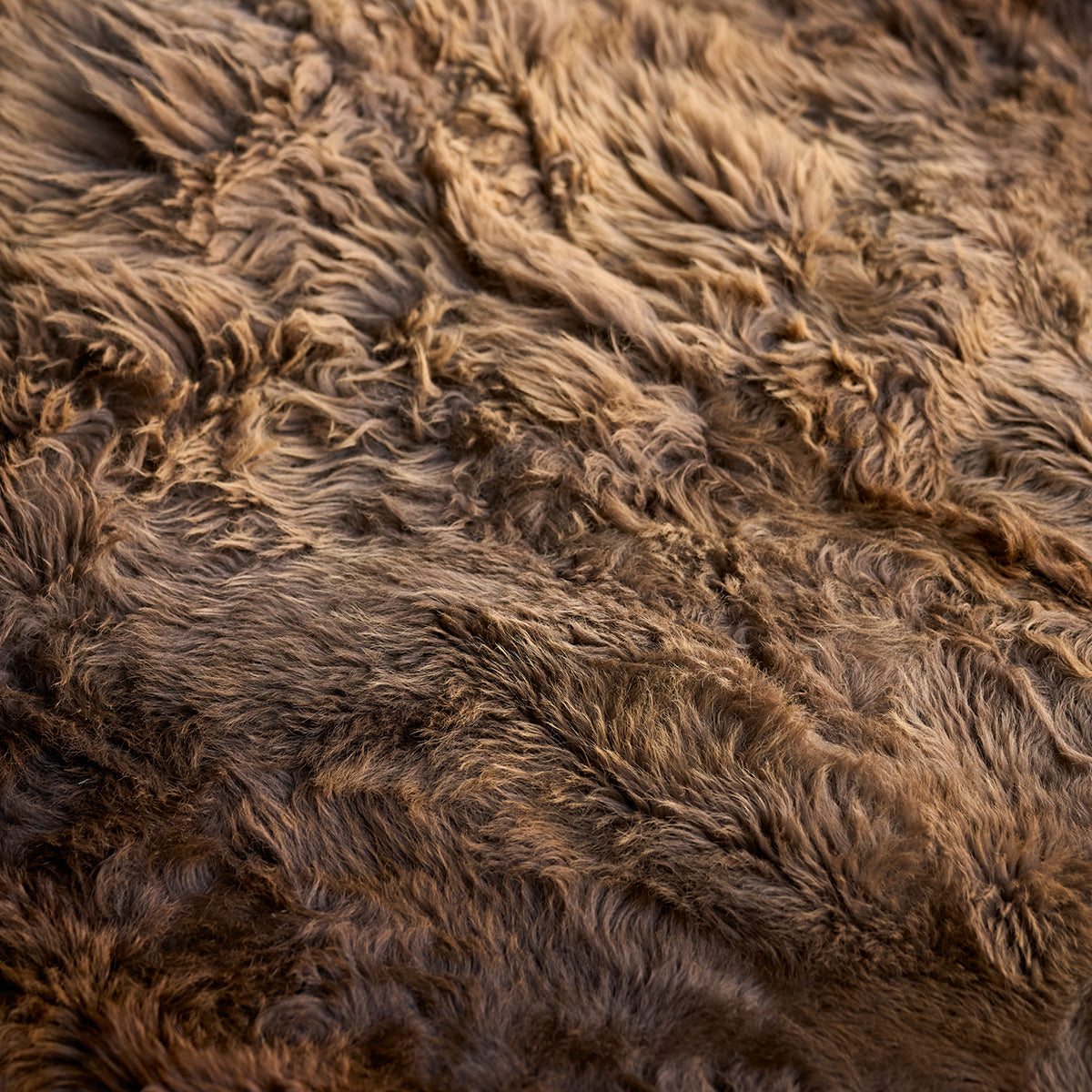 American Bison Rug | Grade-A