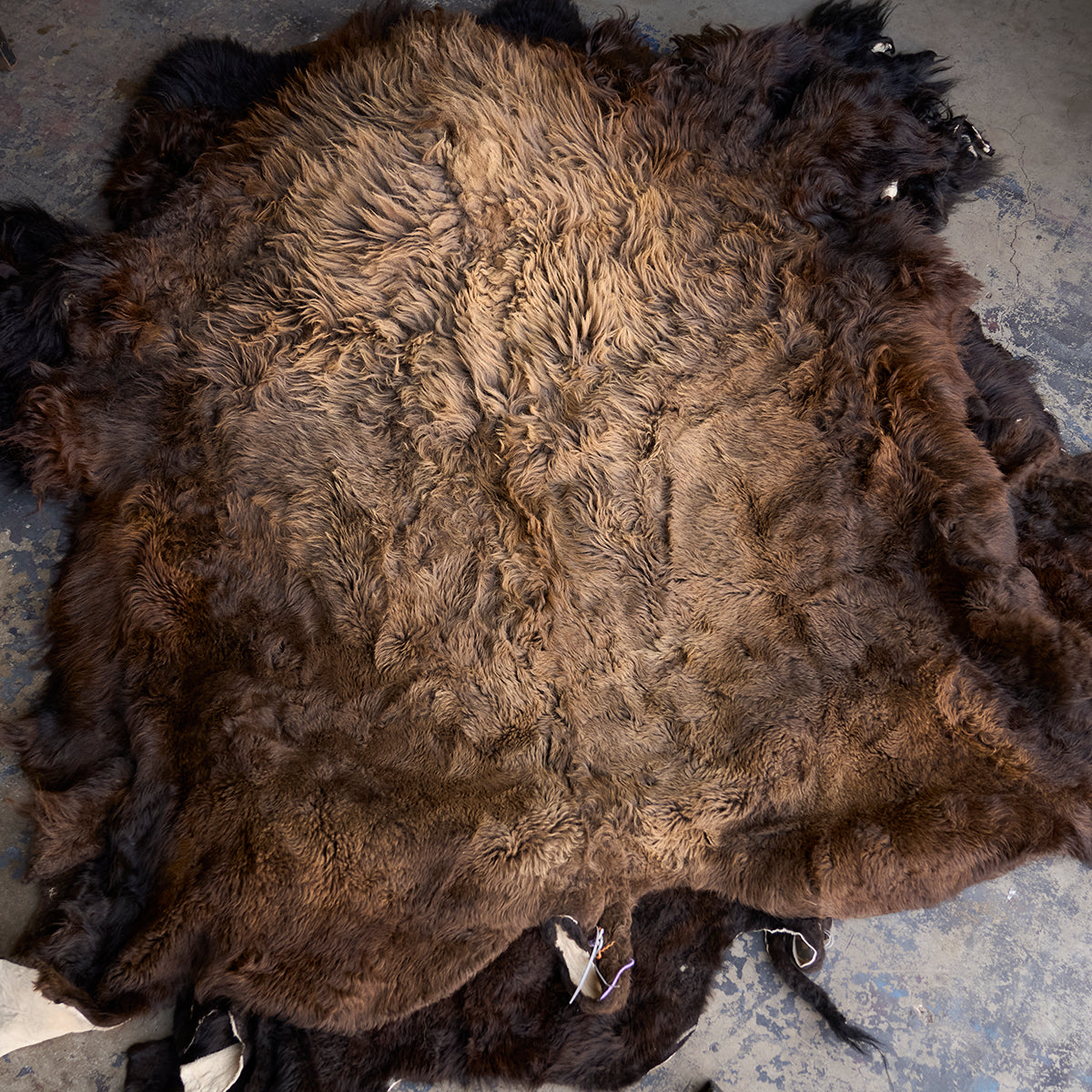 American Bison Rug | Grade-A
