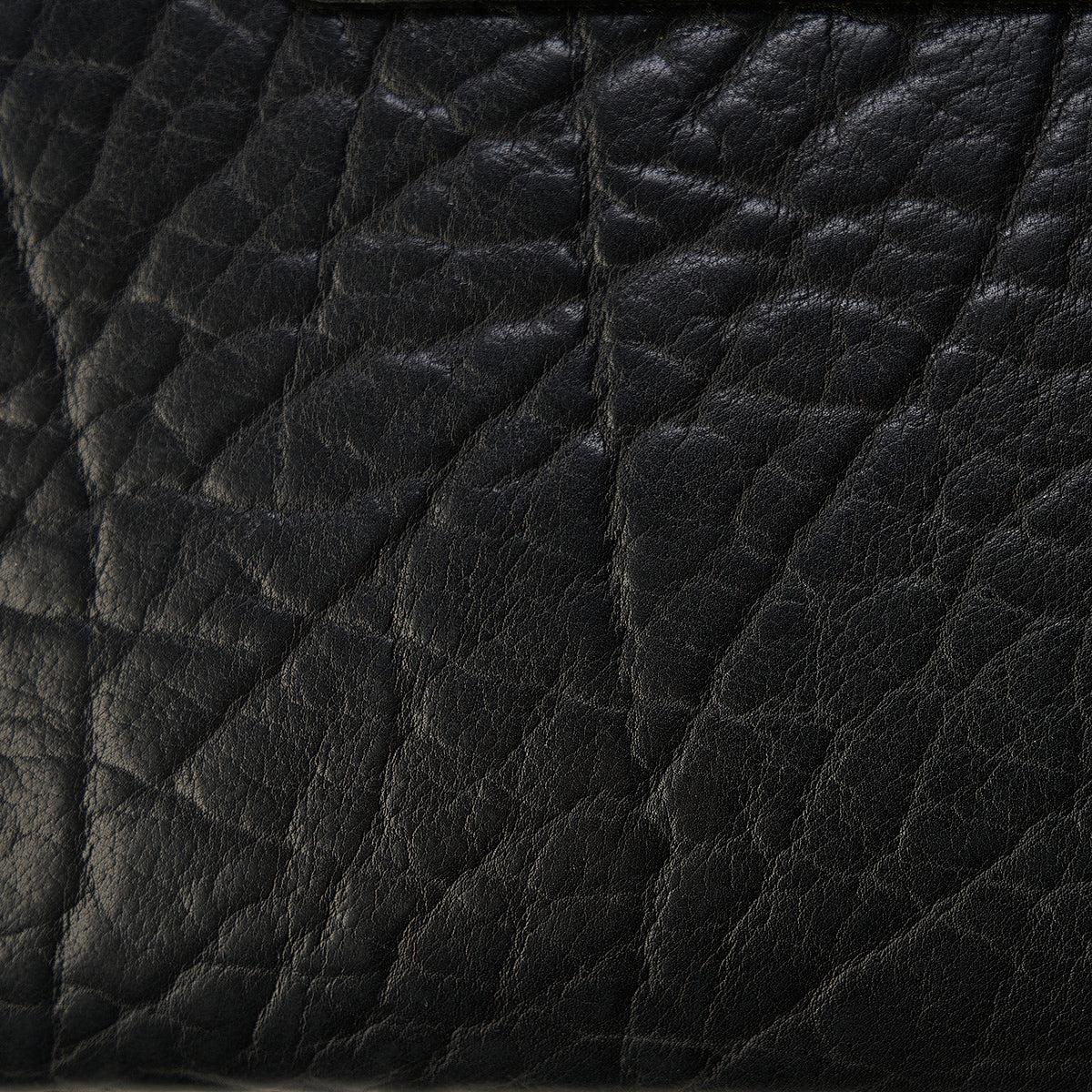 Shrunken Bison & Horween® Hard Cases | Black