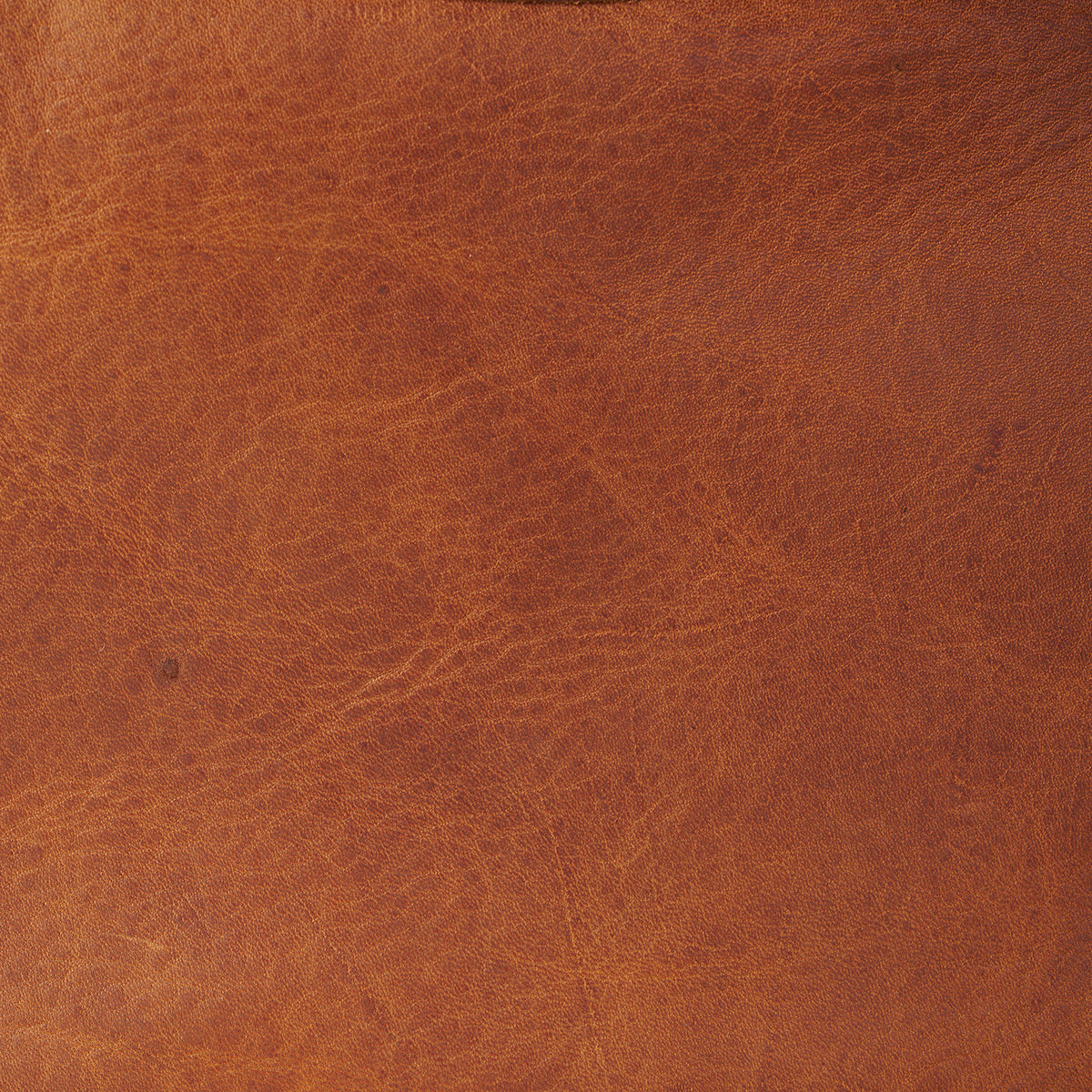 Clark Backpack No.952  |  LE CCW Saddle x20