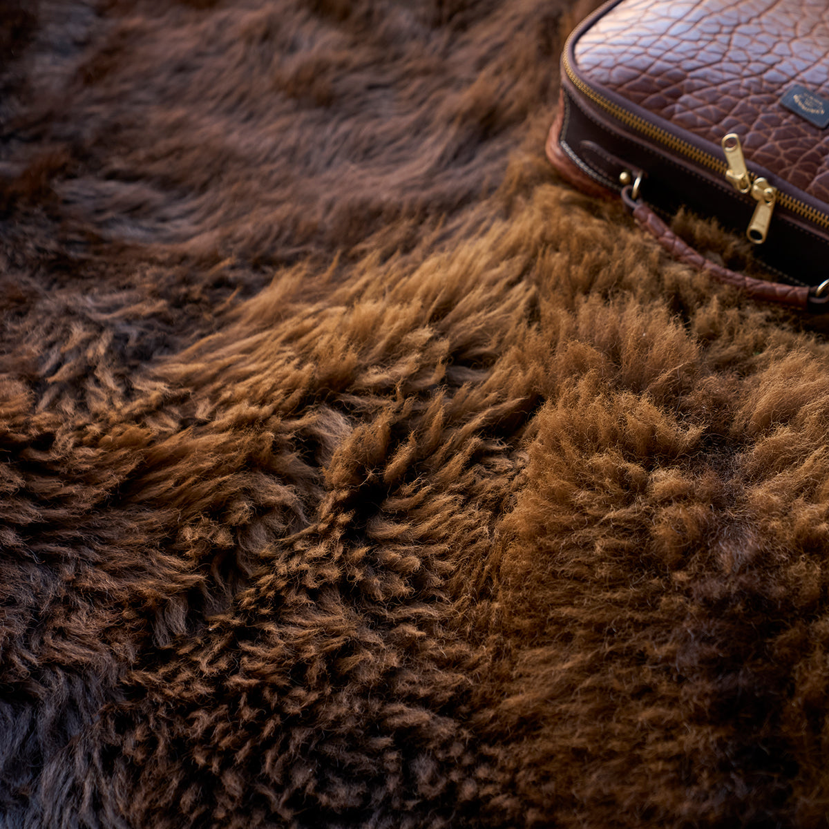 American Bison Rug | Grade-A
