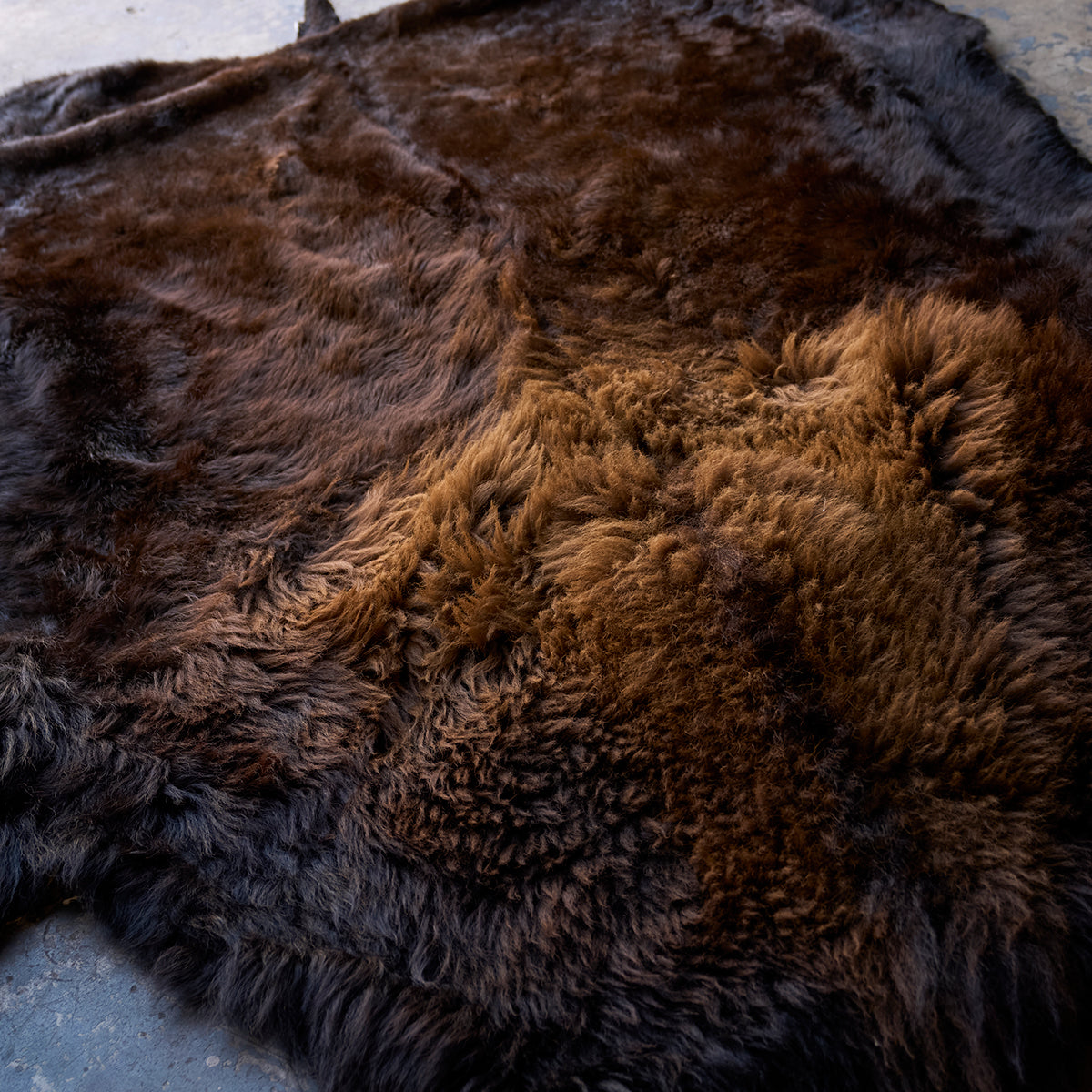 American Bison Rug | Grade-A