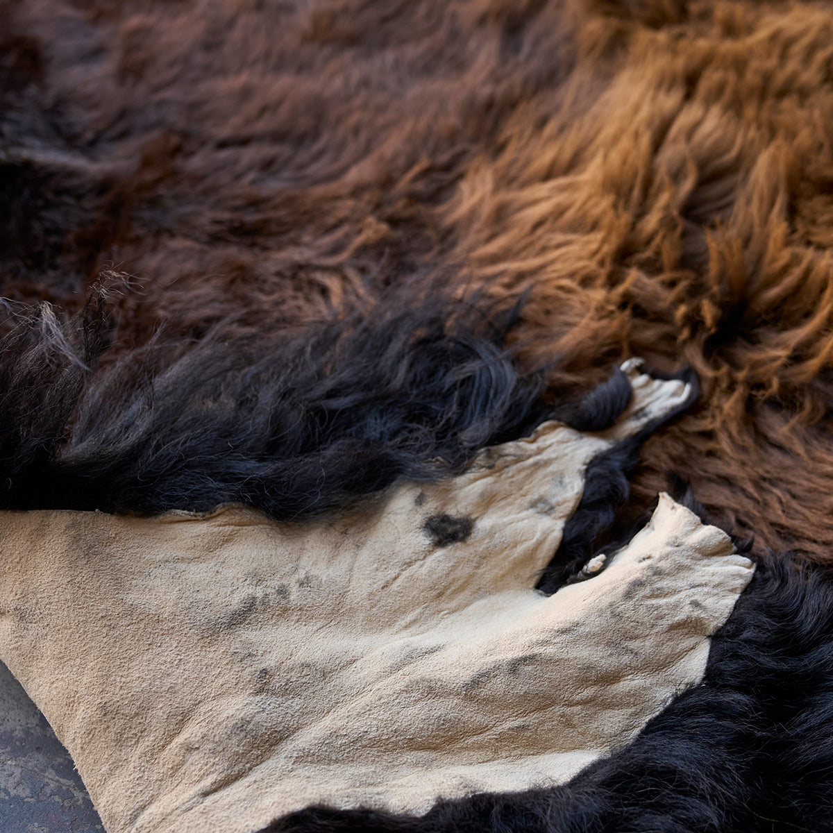 American Bison Rug | Grade-A