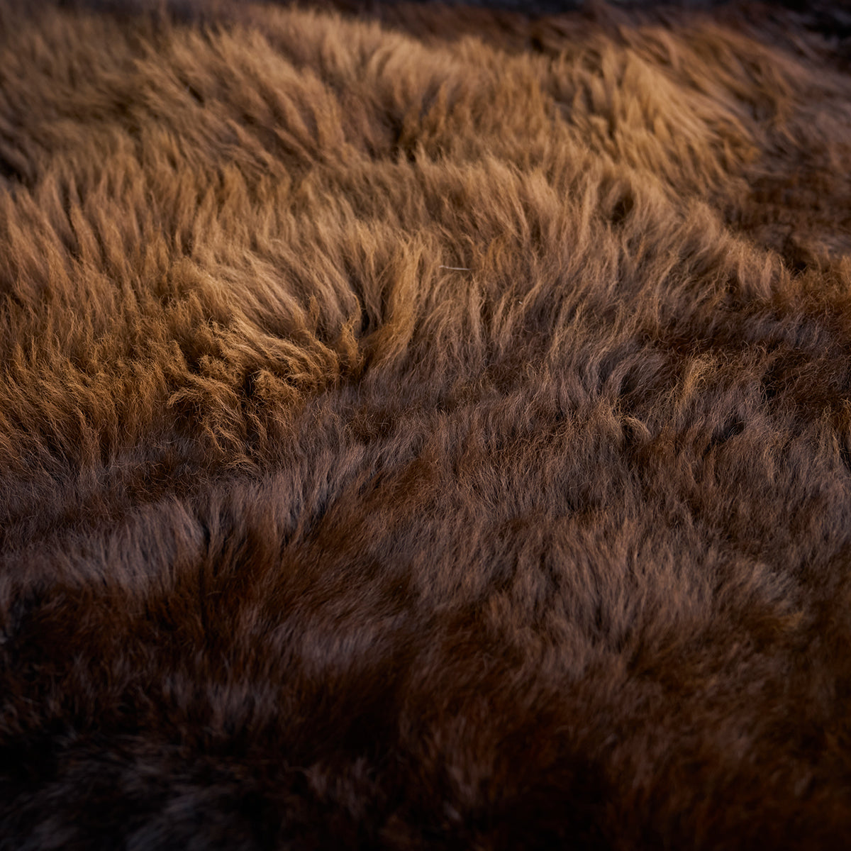 American Bison Rug | Grade-A