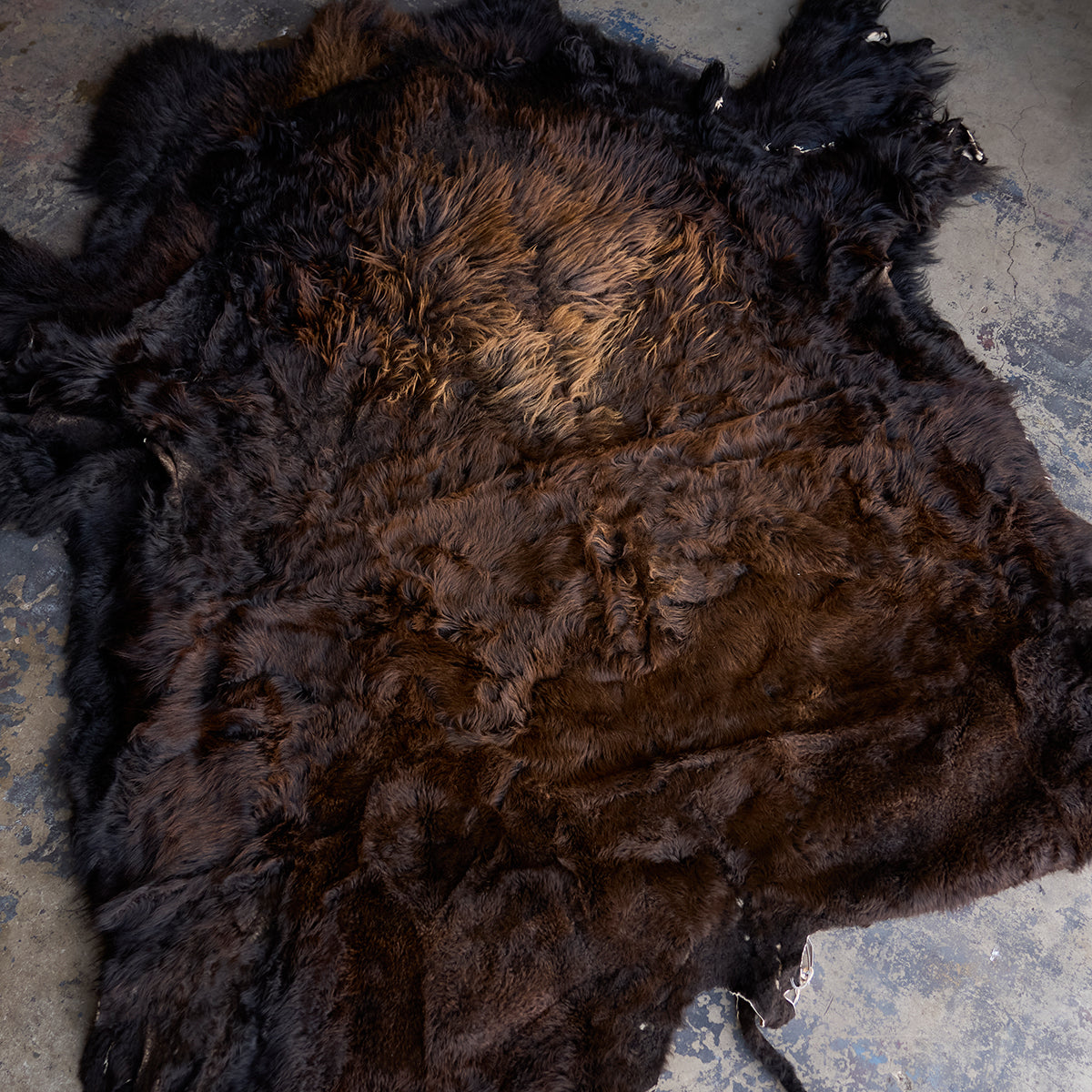 American Bison Rug | Grade-A