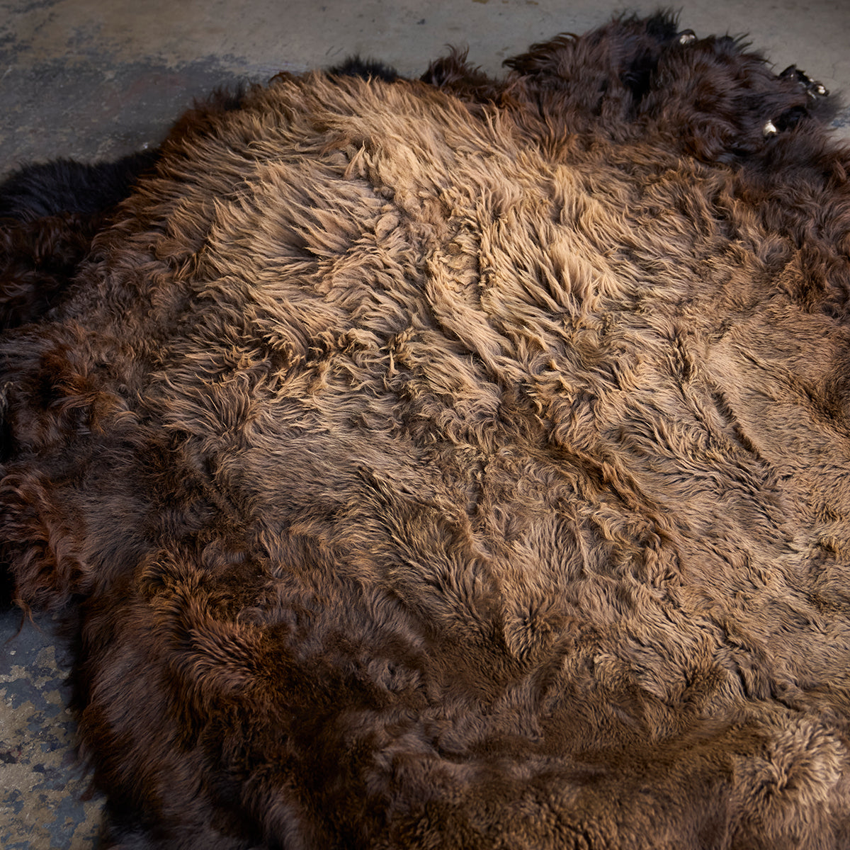 American Bison Rug | Grade-A